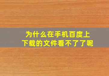 为什么在手机百度上下载的文件看不了了呢