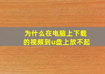 为什么在电脑上下载的视频到u盘上放不起