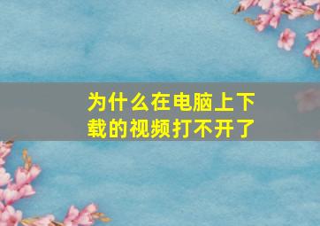 为什么在电脑上下载的视频打不开了