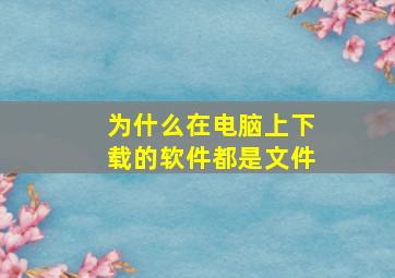 为什么在电脑上下载的软件都是文件