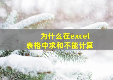 为什么在excel表格中求和不能计算