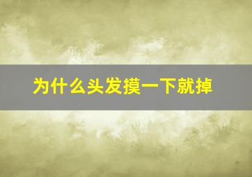 为什么头发摸一下就掉