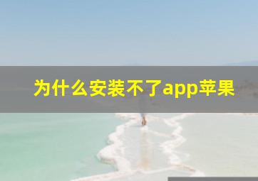 为什么安装不了app苹果