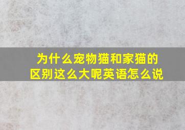 为什么宠物猫和家猫的区别这么大呢英语怎么说