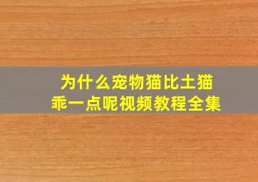 为什么宠物猫比土猫乖一点呢视频教程全集