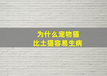 为什么宠物猫比土猫容易生病