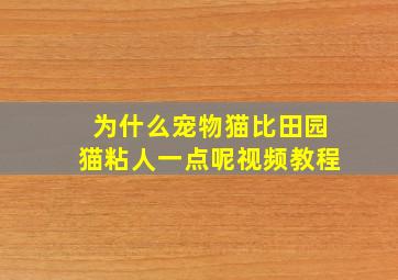 为什么宠物猫比田园猫粘人一点呢视频教程