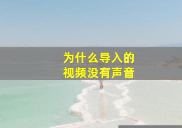 为什么导入的视频没有声音