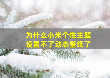 为什么小米个性主题设置不了动态壁纸了