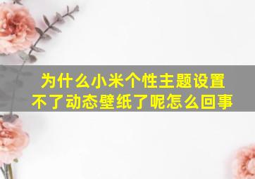 为什么小米个性主题设置不了动态壁纸了呢怎么回事