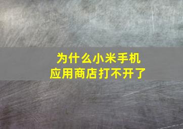 为什么小米手机应用商店打不开了