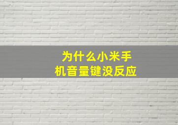 为什么小米手机音量键没反应