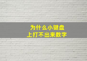 为什么小键盘上打不出来数字