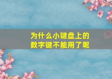 为什么小键盘上的数字键不能用了呢