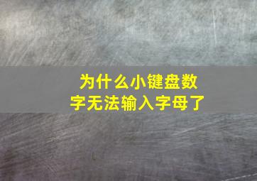 为什么小键盘数字无法输入字母了