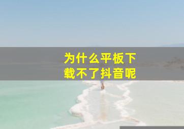 为什么平板下载不了抖音呢