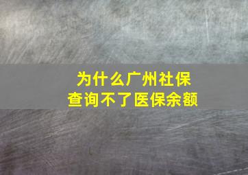 为什么广州社保查询不了医保余额