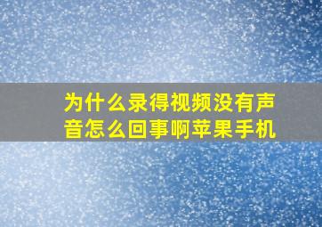 为什么录得视频没有声音怎么回事啊苹果手机