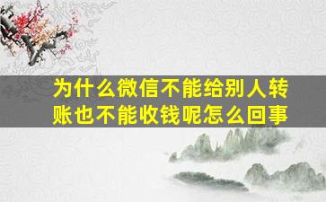 为什么微信不能给别人转账也不能收钱呢怎么回事