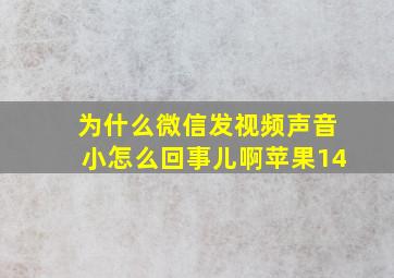 为什么微信发视频声音小怎么回事儿啊苹果14