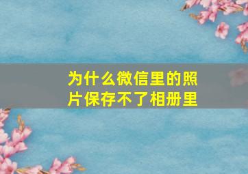 为什么微信里的照片保存不了相册里