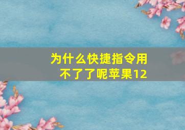 为什么快捷指令用不了了呢苹果12