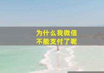 为什么我微信不能支付了呢