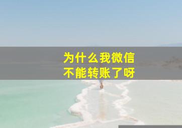 为什么我微信不能转账了呀