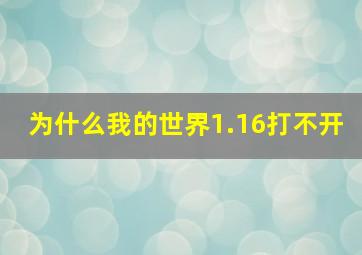 为什么我的世界1.16打不开