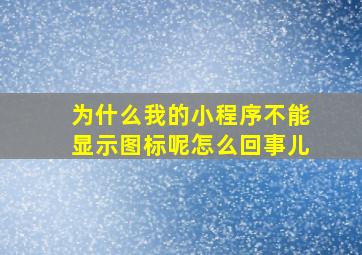 为什么我的小程序不能显示图标呢怎么回事儿