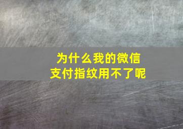 为什么我的微信支付指纹用不了呢