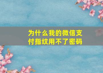 为什么我的微信支付指纹用不了密码