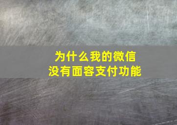 为什么我的微信没有面容支付功能