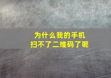 为什么我的手机扫不了二维码了呢