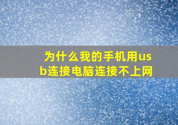 为什么我的手机用usb连接电脑连接不上网