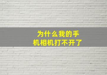 为什么我的手机相机打不开了