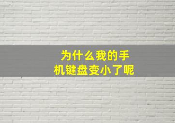 为什么我的手机键盘变小了呢