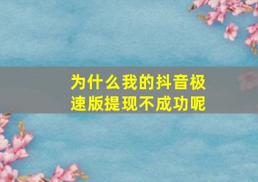 为什么我的抖音极速版提现不成功呢