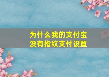 为什么我的支付宝没有指纹支付设置