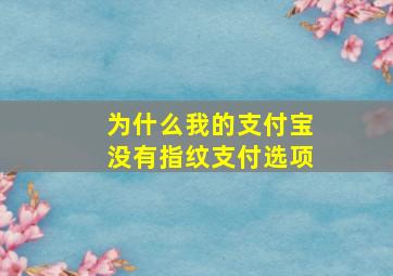 为什么我的支付宝没有指纹支付选项