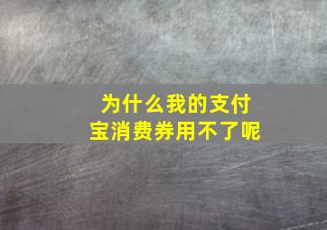 为什么我的支付宝消费券用不了呢