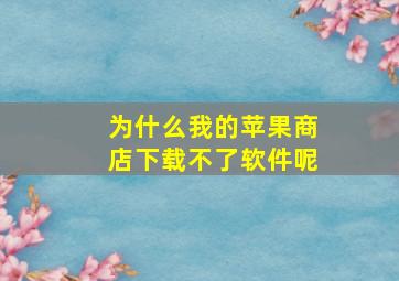 为什么我的苹果商店下载不了软件呢