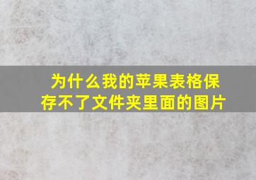 为什么我的苹果表格保存不了文件夹里面的图片