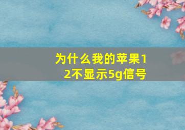 为什么我的苹果12不显示5g信号