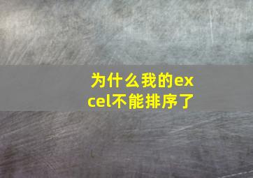 为什么我的excel不能排序了