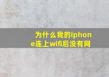 为什么我的iphone连上wifi后没有网