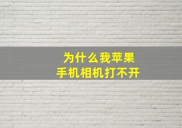 为什么我苹果手机相机打不开