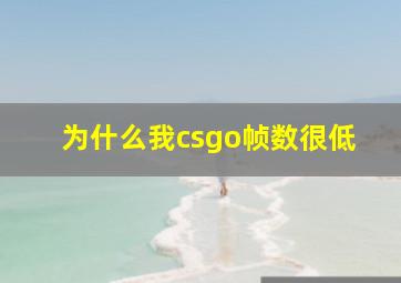 为什么我csgo帧数很低