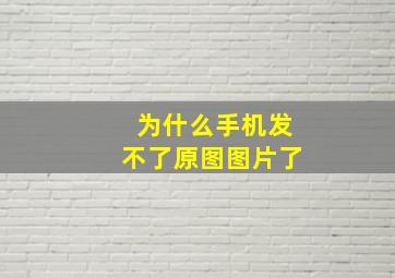 为什么手机发不了原图图片了