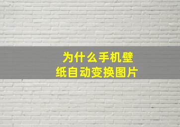 为什么手机壁纸自动变换图片